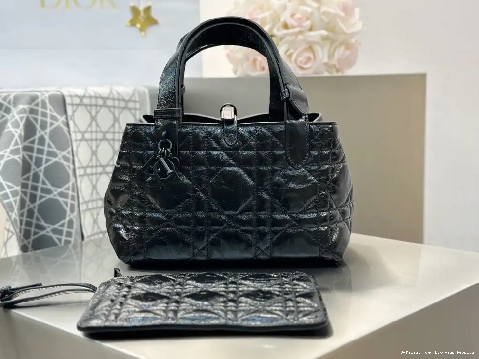 Tony Luxuries Toujours diro Bag-23*15*15CM Small 0403